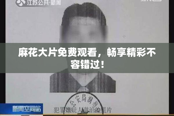 麻花大片免费观看，畅享精彩不容错过！