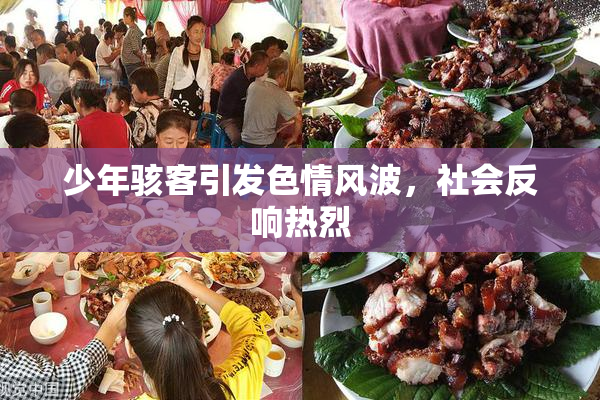 少年骇客引发色情风波，社会反响热烈