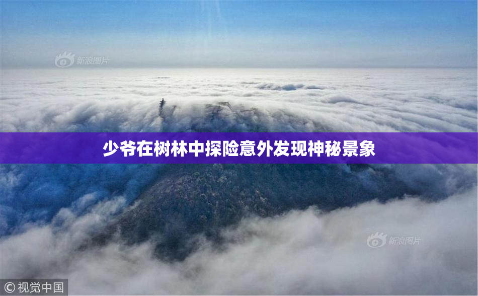 少爷在树林中探险意外发现神秘景象
