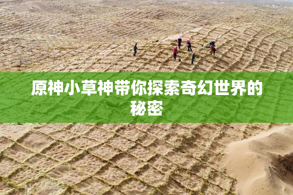 原神小草神带你探索奇幻世界的秘密