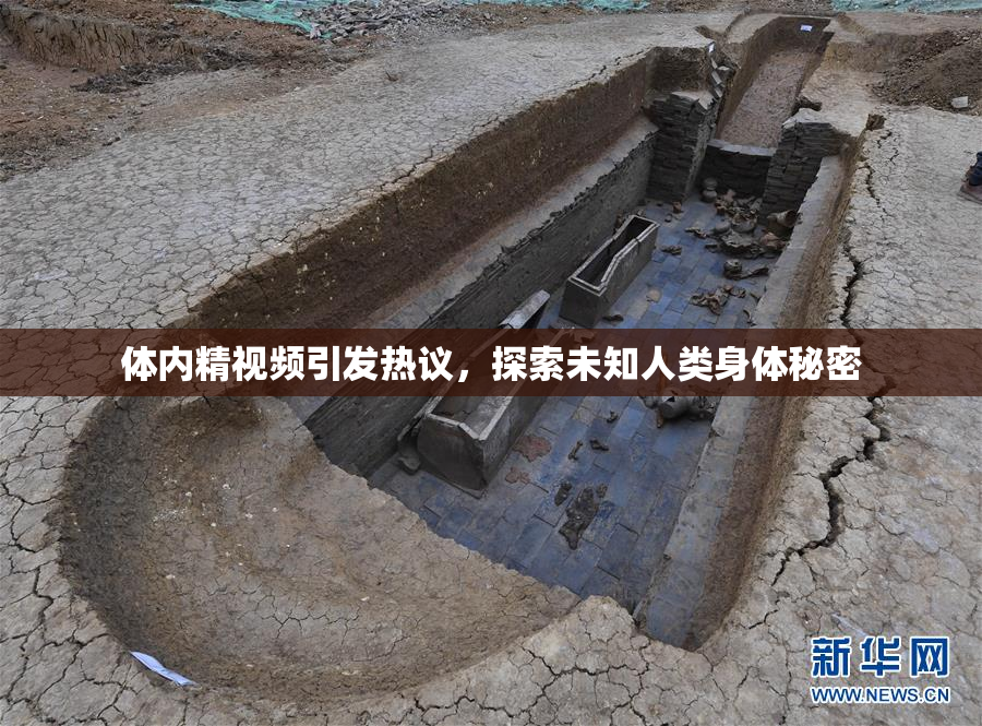 体内精视频引发热议，探索未知人类身体秘密
