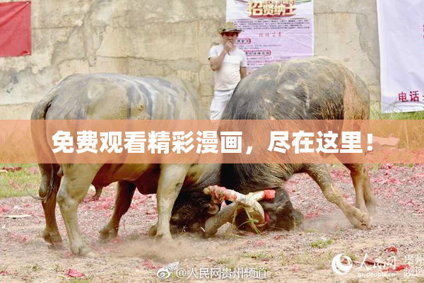 免费观看精彩漫画，尽在这里！