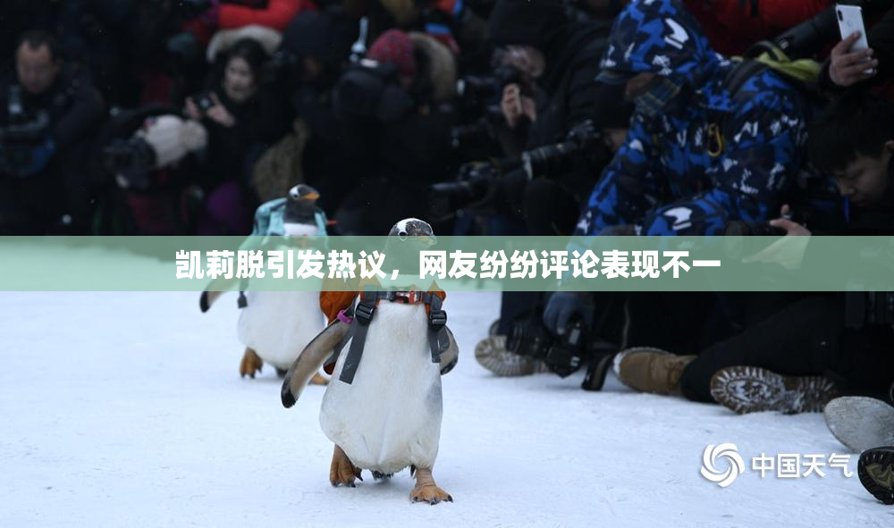 凯莉脱引发热议，网友纷纷评论表现不一