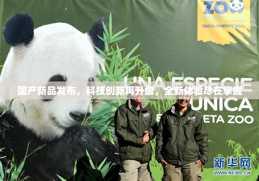 国产新品发布，科技创新再升级，全新体验尽在掌握