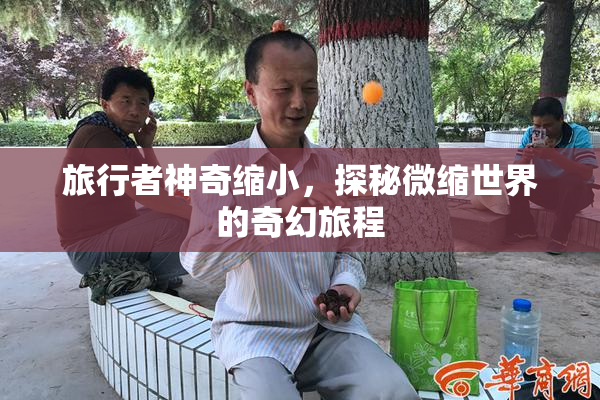 旅行者神奇缩小，探秘微缩世界的奇幻旅程