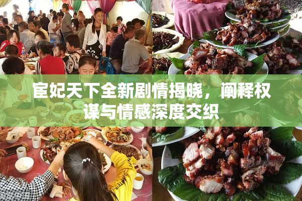 宦妃天下全新剧情揭晓，阐释权谋与情感深度交织
