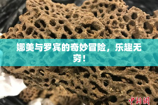 娜美与罗宾的奇妙冒险，乐趣无穷！
