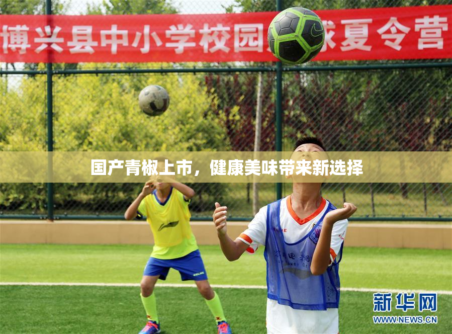 国产青椒上市，健康美味带来新选择