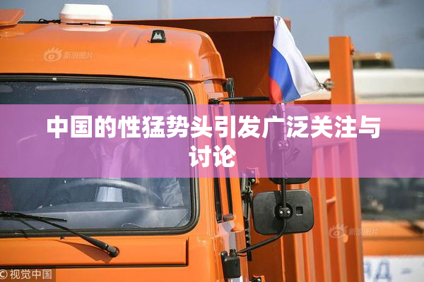 中国的性猛势头引发广泛关注与讨论