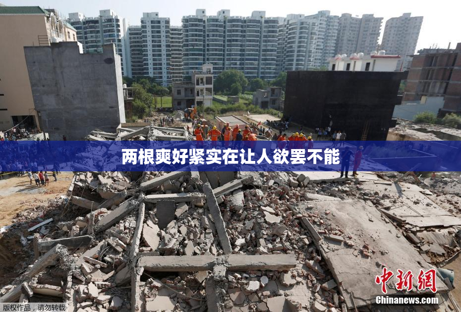 两根爽好紧实在让人欲罢不能