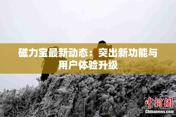 磁力宝最新动态：突出新功能与用户体验升级