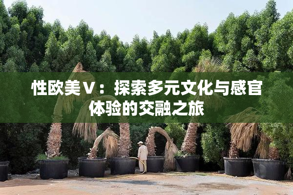 性欧美Ⅴ：探索多元文化与感官体验的交融之旅