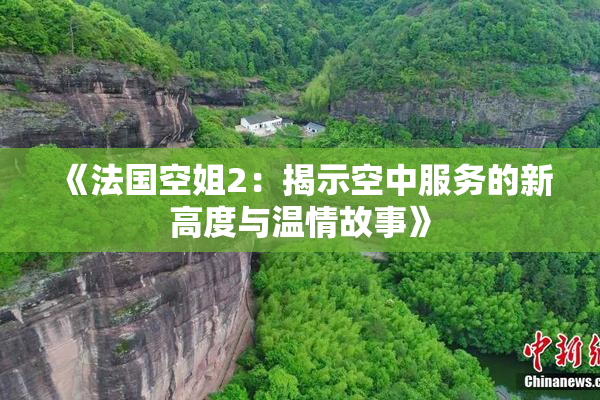 《法国空姐2：揭示空中服务的新高度与温情故事》
