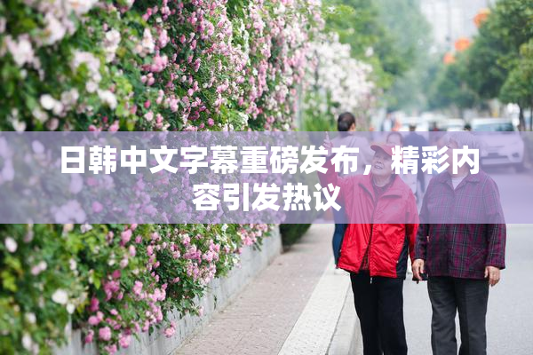 日韩中文字幕重磅发布，精彩内容引发热议