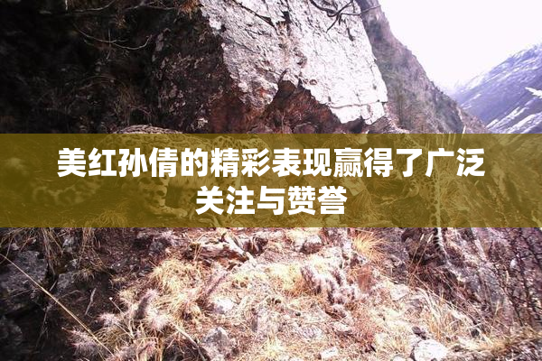 美红孙倩的精彩表现赢得了广泛关注与赞誉