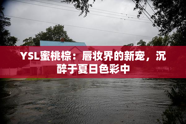 YSL蜜桃棕：唇妆界的新宠，沉醉于夏日色彩中