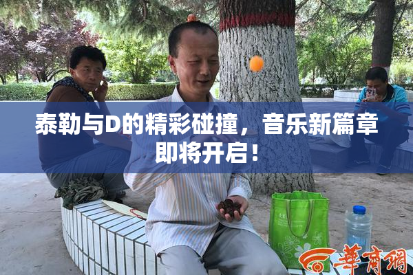 泰勒与D的精彩碰撞，音乐新篇章即将开启！
