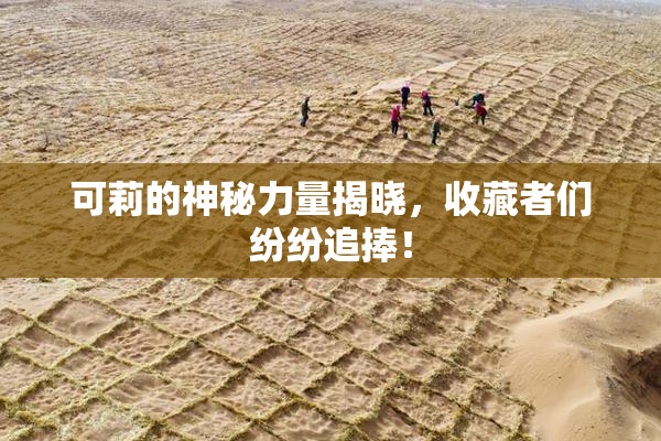 可莉的神秘力量揭晓，收藏者们纷纷追捧！