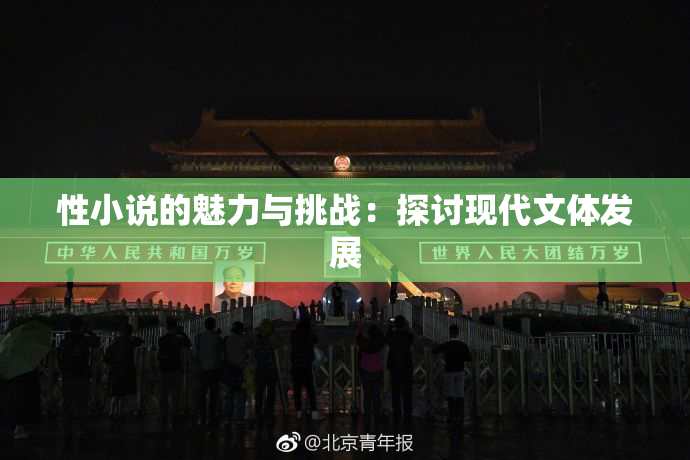 性小说的魅力与挑战：探讨现代文体发展