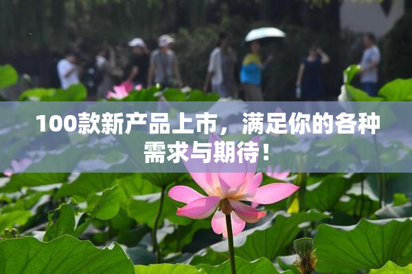 100款新产品上市，满足你的各种需求与期待！