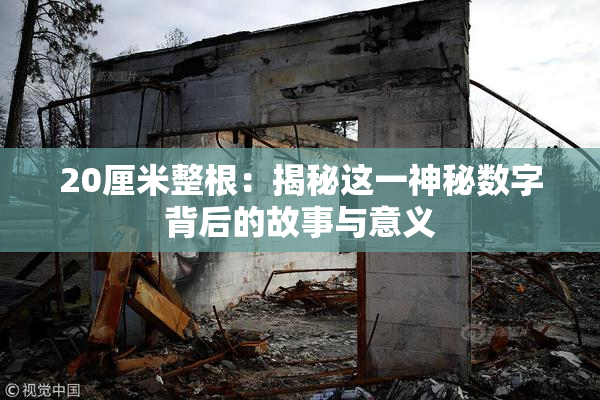 20厘米整根：揭秘这一神秘数字背后的故事与意义
