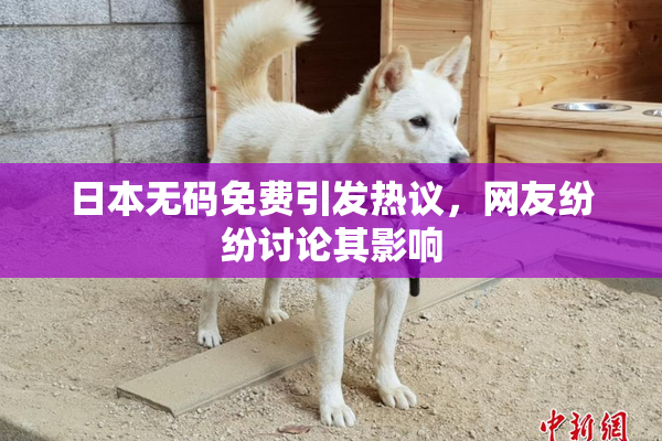 日本无码免费引发热议，网友纷纷讨论其影响