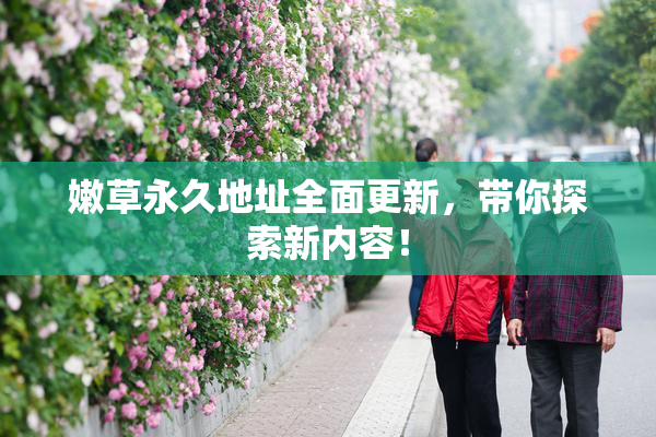 嫩草永久地址全面更新，带你探索新内容！