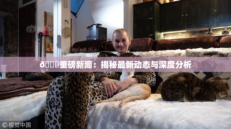 🈚重磅新闻：揭秘最新动态与深度分析