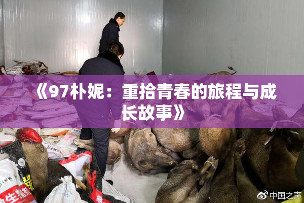 《97朴妮：重拾青春的旅程与成长故事》