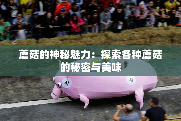 蘑菇的神秘魅力：探索各种蘑菇的秘密与美味