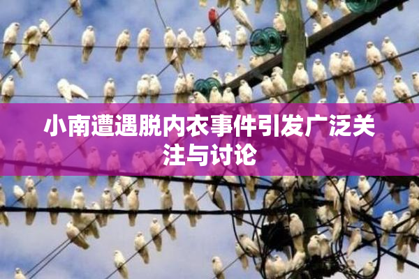 小南遭遇脱内衣事件引发广泛关注与讨论