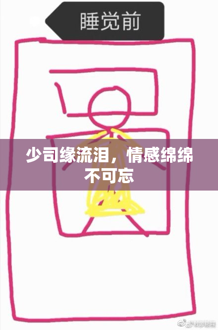 少司缘流泪，情感绵绵不可忘