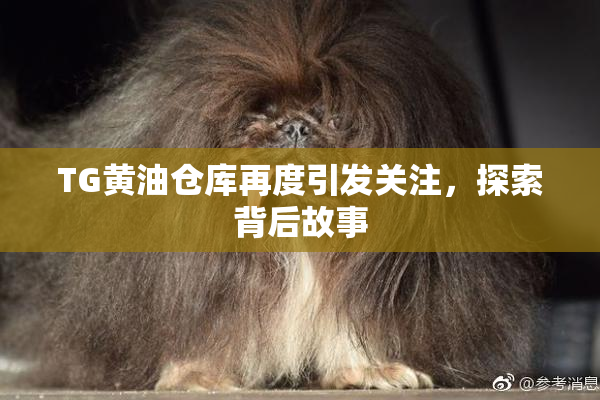 TG黄油仓库再度引发关注，探索背后故事