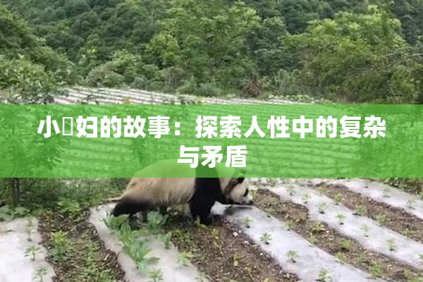 小婬妇的故事：探索人性中的复杂与矛盾