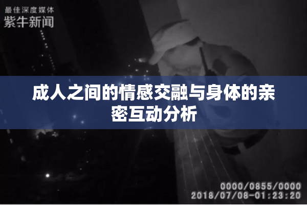 成人之间的情感交融与身体的亲密互动分析