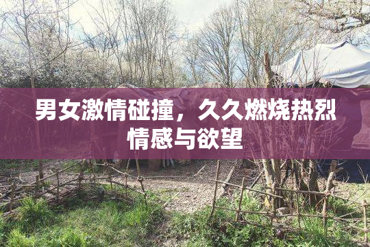 男女激情碰撞，久久燃烧热烈情感与欲望