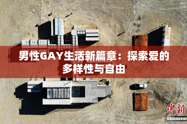 男性GAY生活新篇章：探索爱的多样性与自由