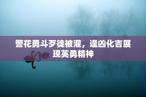 警花勇斗歹徒被灌，逢凶化吉展现英勇精神