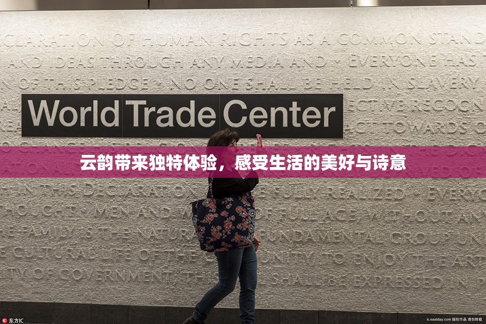 云韵带来独特体验，感受生活的美好与诗意