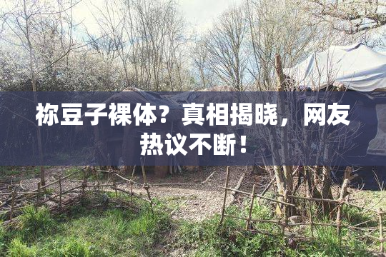 祢豆子裸体？真相揭晓，网友热议不断！
