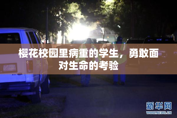 樱花校园里病重的学生，勇敢面对生命的考验