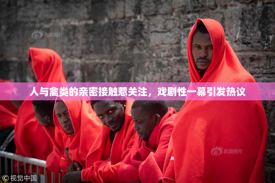 人与禽类的亲密接触惹关注，戏剧性一幕引发热议