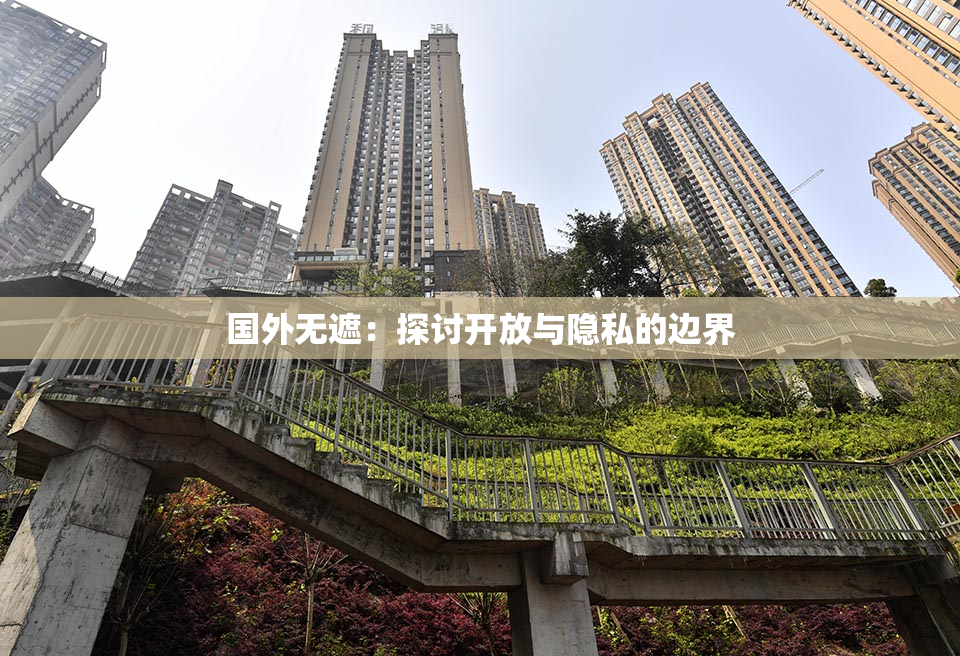 国外无遮：探讨开放与隐私的边界