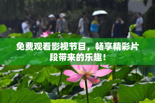 免费观看影视节目，畅享精彩片段带来的乐趣！
