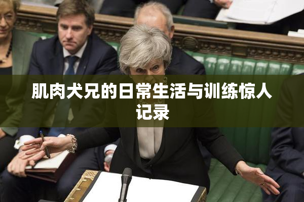 肌肉犬兄的日常生活与训练惊人记录