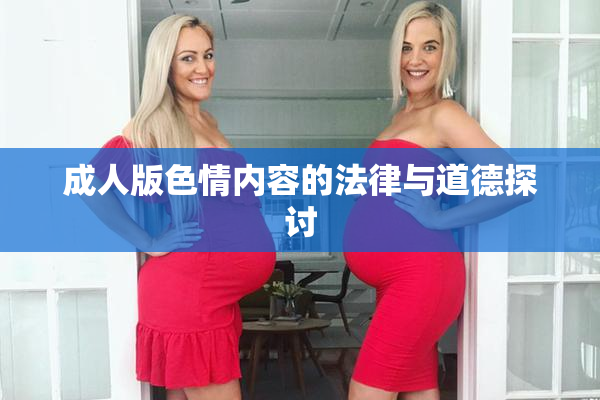 成人版色情内容的法律与道德探讨