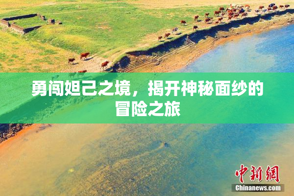 勇闯妲己之境，揭开神秘面纱的冒险之旅