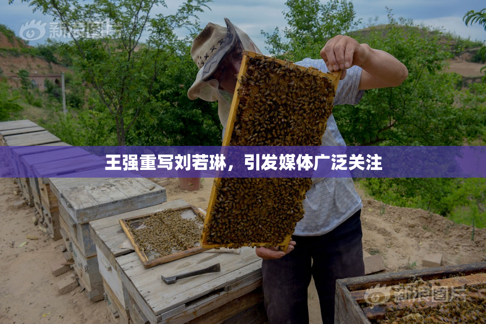 王强重写刘若琳，引发媒体广泛关注