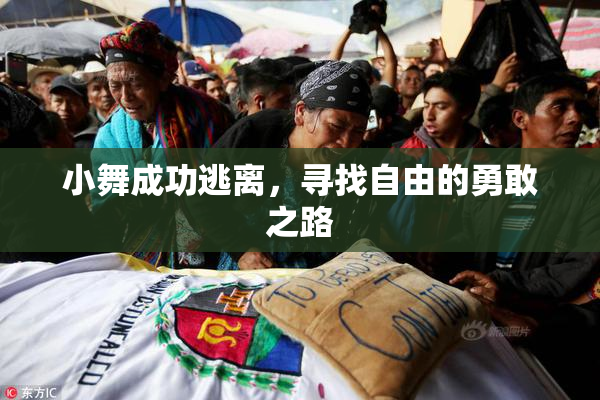 小舞成功逃离，寻找自由的勇敢之路