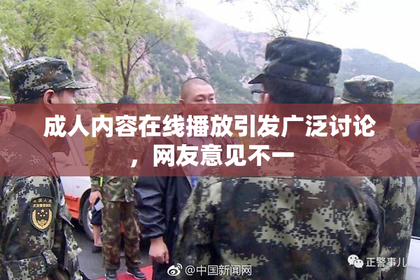 成人内容在线播放引发广泛讨论，网友意见不一
